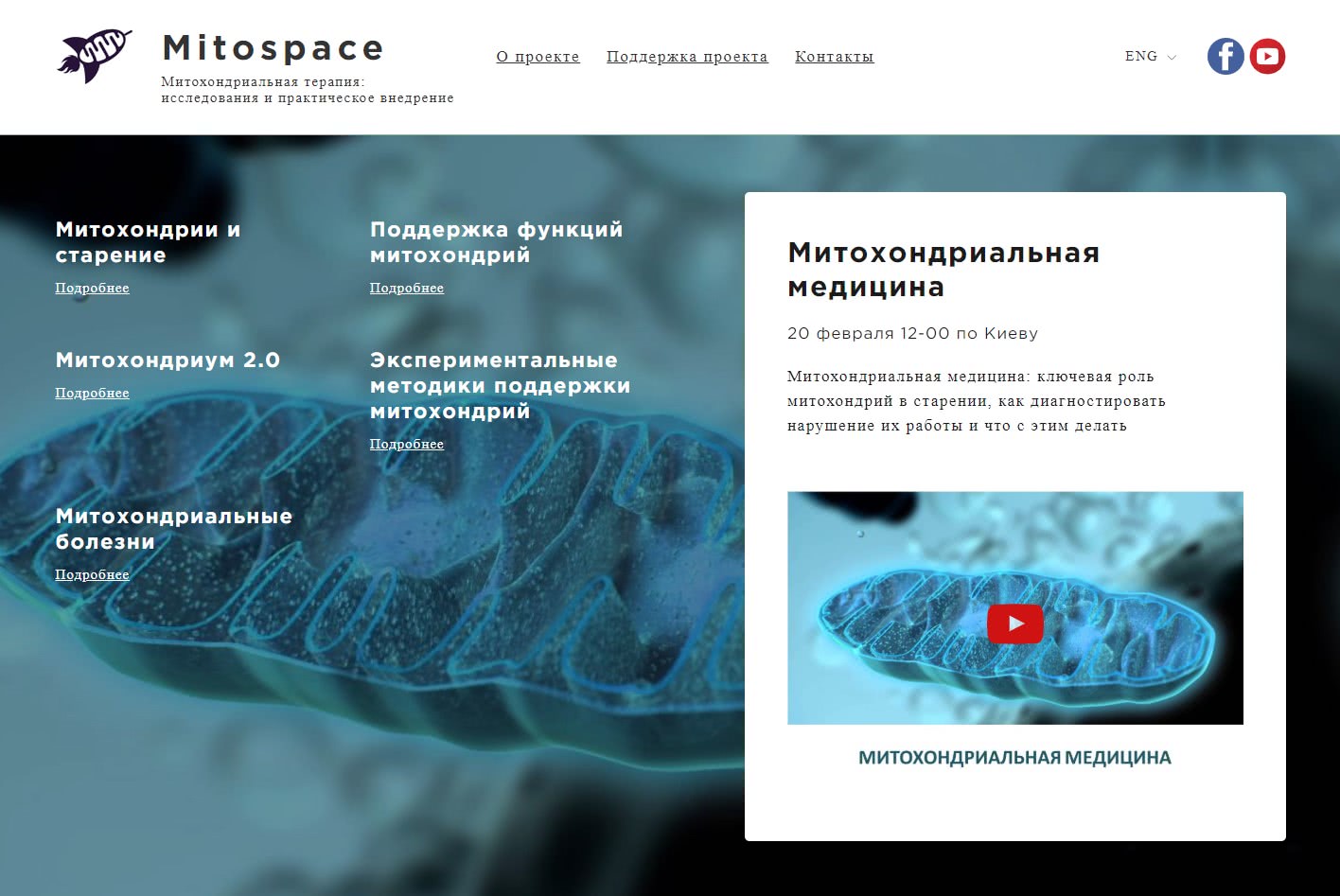 Сайт компании Mitospace